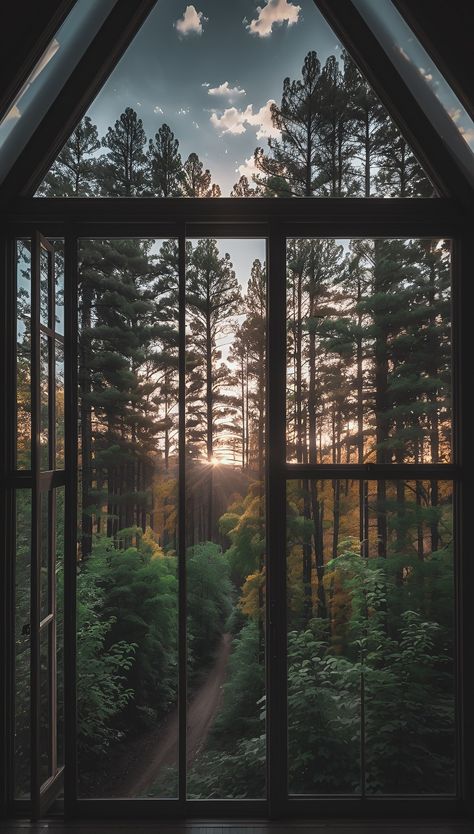 Landscape Through Window, Window Forest View, House With Lots Of Windows, Easy Room Decor, Beautiful Scenery Pictures, Forest Photos, Witchy Wallpaper, Forest View, Window Mirror