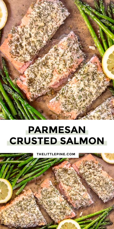 PARMESAN CRUSTED SALMON- PIN 1 Garlic Parmesan Crusted Salmon, Crusted Salmon Recipes, Parmesan Crusted Salmon, Parmesan Salmon, Keto Fish, Keto Meat, Keto Seafood, Salmon Marinade, Pesto Salmon