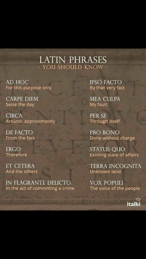 Latin Word Tattoos, Latin Phrase Tattoos, Latin Quote Tattoos, Latin Tattoo, Phrase Tattoos, Latin Quotes, Latin Language, Unique Words Definitions, Latin Phrases