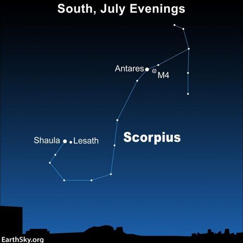 Did you know? Scorpius the Scorpion is one of the easiest constellations to see in the sky. It’s a large J-shaped figure. The bright red star Antares lies at the Scorpion’s heart. A curved arc of 3 stars - Acrab, Dschubba, and Fang - mark the Scorpion’s head. 🌌🦂 In this chart, we see Scorpius in the southern evening summer sky. 📸 Find out more about Scorpius, and how and when to see it, at EarthSky.org. Scorpius Constellation, September Equinox, December Solstice, Hawaiian Names, Sky Chart, The Scorpions, Star Clusters, Neutron Star, What Is Today