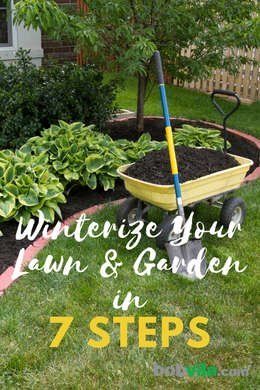 Get Winter Ready Winterizing Yard Tips, Southern Gardens, Designing Tips, Aerate Lawn, Backyard Plants, Organic Vegetable Garden, Garden Life, Lawn Maintenance, Garden Tool Set