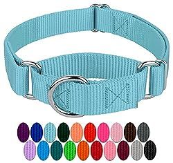 Martingale Dog Collar, Metal Slide, Training Collar, Martingale Collar, Dog Collars & Leashes, Country Design, Girl And Dog, Dog Dog, Medium Dogs