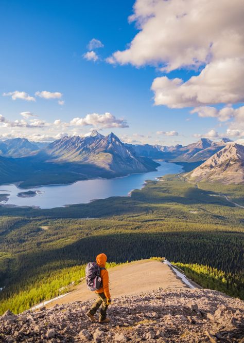 Hiking Tent Ridge in Kananaskis Country Canada Hikes, Tent Ridge Kananaskis, Banff Photography, American Hiking Trails, Moraine Lake Hikes, Sunshine Village, Lake Agnes, Canmore Alberta, Ozark Highlands Trail Hiking