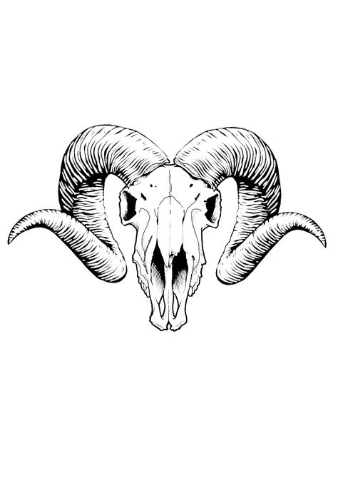 Ram Skull Painting, Ramskull Tattoo Design, Ram Head Tattoo, Ram Skull Tattoo, Mars Logo, Tattoo Goat, Dagger Drawing, Skull Template, Sheep Tattoo