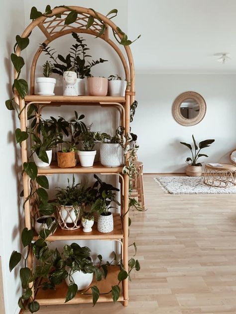 Bohemian Plant Bedroom, Rattan Plant Shelf, Lesbian House Decor, Lesbian Apartment, Arched Shelf, Cane Shelf, Rattan Shelf, Rental Home Decor, Styling Shelves