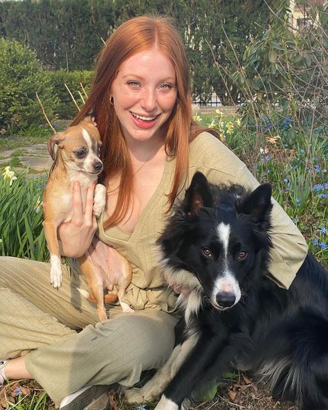 madeline ford no Instagram: “a little positivity for your timeline: I decided to foster a dog in need of a home to make good use of my time in quarantine, and selfishly…” Animals Friendship, Rat Terriers, Chihuahua Mix, Sweet Animals, Made Goods, I Decided, A Dog, Need This, Chihuahua