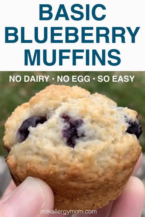 Basic Blueberry Muffins Eggless Dairy-Free | Allergy Friendly Recipe at Milk Allergy Mom Egg Free Muffins, Basic Muffin, Milk Allergy Mom, Basic Muffin Recipe, Dairy Free Muffins, Easy Blueberry Muffins, Milk Allergy, Berry Muffins, Nut Free Recipes