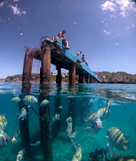 Crash Boat Beach, Aguadilla, Puerto Rico. Hurricane María almost took the whole the pier down. dyce_soundz on Instagram. Puerto Rico Wallpaper, Beach Puerto Rico, Puerto Rico Pictures, Puerto Rico Trip, Boat Beach, Puerto Rico Vacation, Puerto Rico History, Puerto Rican Pride, Beautiful Places To Live