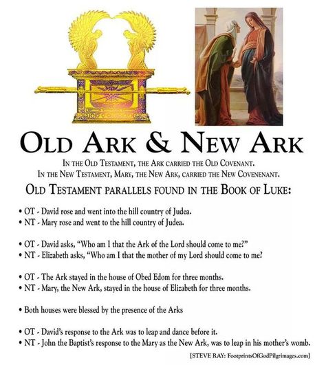 Parallels between the Old Testament Ark of the Covenant and Mary (the New Testament Ark of the Covenant).  So cool!  Do you and your family want to grow closer to Mary?  Visit www.holyheroes.com/mary to sign up for Holy Heroes Free Marian Consecration Family Adventure! Arc Of The Covenant, Ark Of The Covenant, Catholic Answers, Catholic Doctrine, Catholic Beliefs, Daughter Of The King, Catholic Education, Blessed Mother Mary, Religious Education