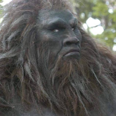 Real Bigfoot Pictures, Bigfoot Footage, Real Bigfoot, Native American Tribes Map, Bigfoot Pictures, Colorized Historical Photos, Bigfoot Art, Bigfoot Sightings, Vision Quest