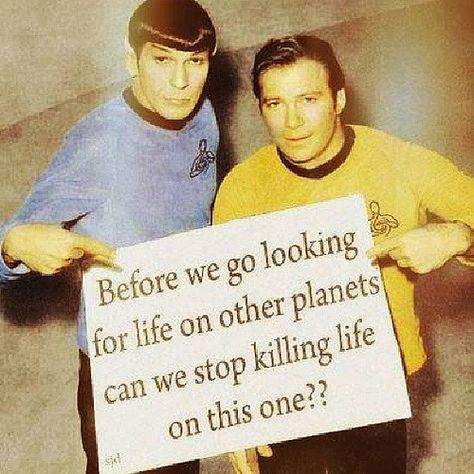 Earth Day Quotes, Higher State Of Consciousness, Vegan Quotes, Before We Go, Life Quotes Pictures, Its Friday Quotes, Star Trek Tos, Question Everything, Peaceful Life