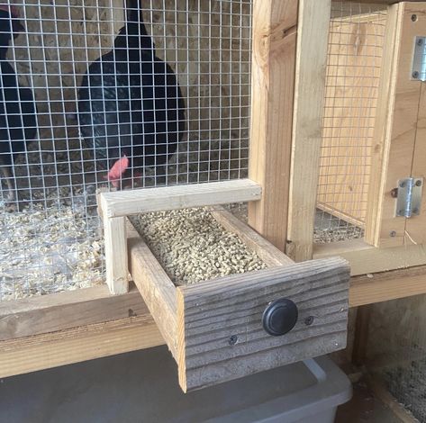 Chicken Pen Plans Diy Projects, Corner Roosting Bars For Chickens, Chicken Pen Ideas Diy, Barnwood Chicken Coop, Pallet Chicken Brooder, Western Town Chicken Coop, Chicken Coop Plans For 8-10 Chickens, Chicken Coop Garden, Cute Chicken Coops