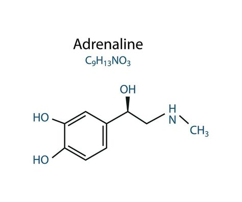 Chemical formula of adrenaline molecule skeletal vector illustration. Adrenaline Molecule, Chemical Formula, Cityscape Photos, Logo Banners, Skeletal, Marketing Design, Custom Illustration, Custom Branding, Background Banner