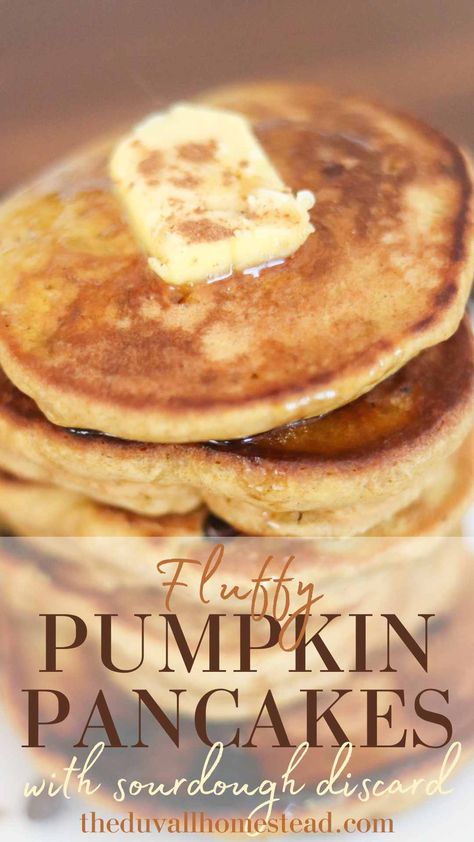 Fluffy Einkorn Pumpkin Pancakes with Sourdough Discard Sourdough Pumpkin Pancakes Recipe, Einkorn Pumpkin Pancakes, Sourdough Discard Pumpkin Pancakes, Sourdough Pumpkin Pancakes, Einkorn Sourdough, Fluffy Pumpkin Pancakes, Autumn Breakfast, Pumpkin Pasta Sauce, Einkorn Recipes