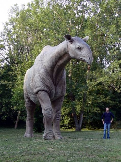 Indricotherium, the largest land "mammal" that has ever ... Prehistoric Wildlife, Prehistoric World, Terra Nova, Ancient Animals, Paleo Art, Extinct Animals, Dinosaur Fossils, Prehistoric Creatures, Prehistoric Animals