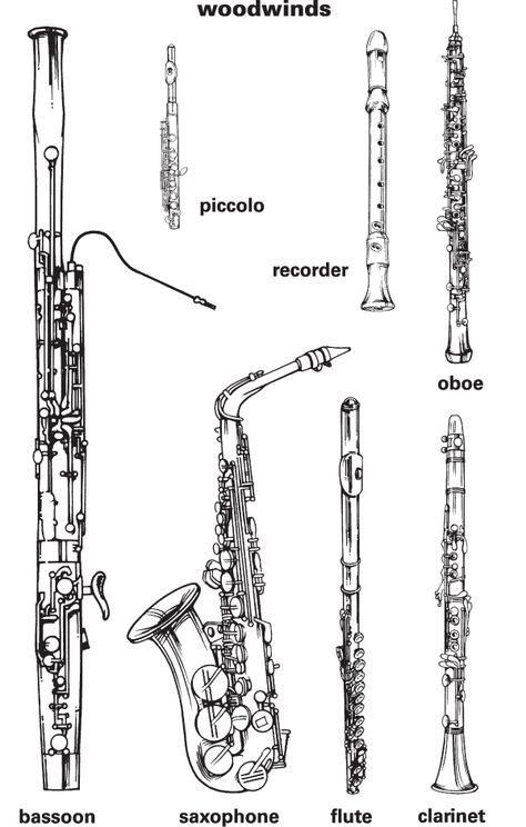 Woodwind Instruments Drawing, Instrument Pictures, Woodwind Family, Instrument Families, Wind Instruments, Music Teaching Resources, Shaytards, Clarinets, Homeschool Music