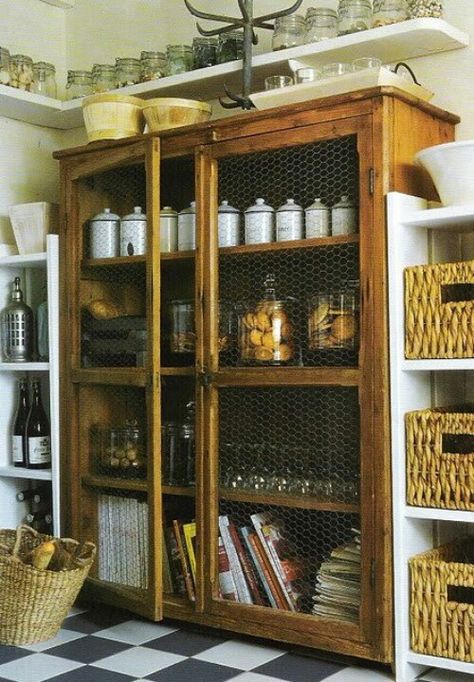 Love!! Stand Alone Kitchen Pantry, Checkered Floor, Koti Diy, Pie Safe, Kitchen Pantry Design, Versace Home, Kitchen Farmhouse, Butler's Pantry, Pantry Design