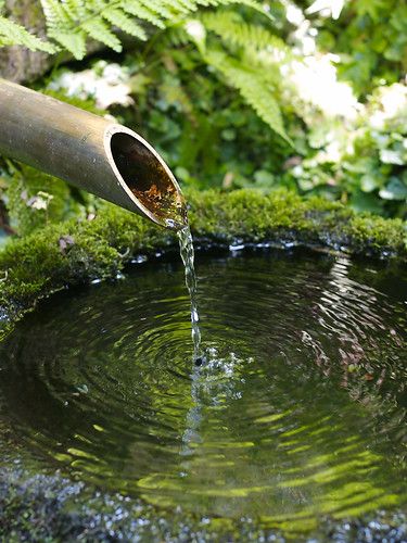 Zen Water Fountain, Image Zen, Kolam Air, Meditation Garden, Small Fountains, Magic Garden, Covered Garden, Moss Garden, Water Features In The Garden