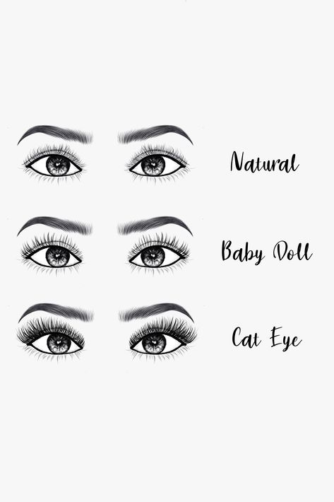 Eyelash Models Needed, Lash Bible, Lash Extension Styles, Studio Lashes, Eyelash Extensions Before And After, Extension Styles, Keratin Lash Lift, Lash Maps, Small Business Marketing Plan