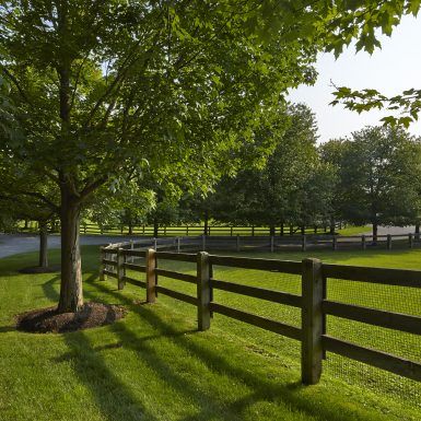 Rooster Hill Farm | Hollander Design Livestock Pasture Layout, Large Yard Landscaping Ideas, Spilled Flower Pot Ideas, Spilled Flower Pot, Garden Corner Ideas, Hollander Design, Large Yard Landscaping, Acreage Landscaping, Sophisticated Garden