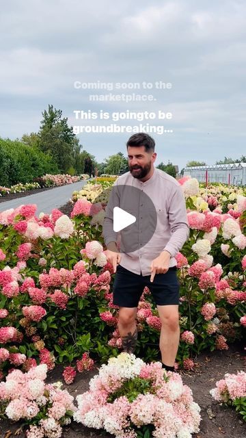 Michael Perry on Instagram: "Big news for a Monday 🗞️ Hydrangea GROUNDBREAKER is the first ground cover Hydrangea, which breaks all the rules! Landscaping, window boxes, possibilities are endless! Wanna try it….?? 👀 
USDA Zone 3-8 

Go follow @groundbreaker.hydrangea @living.creations for more 🍦 

#NewPlants #PlantGeekPicks" Hydrangea Landscaping, Hydrangea Garden, Window Boxes, Big News, Yard Ideas, Ground Cover, Green Thumb, The Rules, Try It