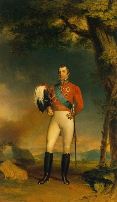 Arthur Wellesley, Duke Of Wellington, Historical Artwork, National Heroes, British Empire, Color Meanings, Military Heroes, British History, Historical Events