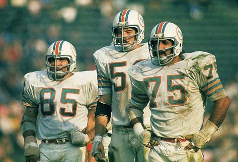 Larry Csonka, 1972 Miami Dolphins, World Football League, Eric Dickerson, American Football League, Football Hall Of Fame, Nfl History, Classic Football, World Football