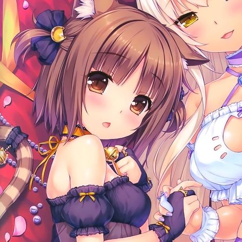 Nekopara Matching Icons, Y2k Matching Pfp, Nekopara Icons, Moe Art, Y2k Anime, 2000s Anime, Kawaii Cutecore, Matching Pfps, Cat Girl