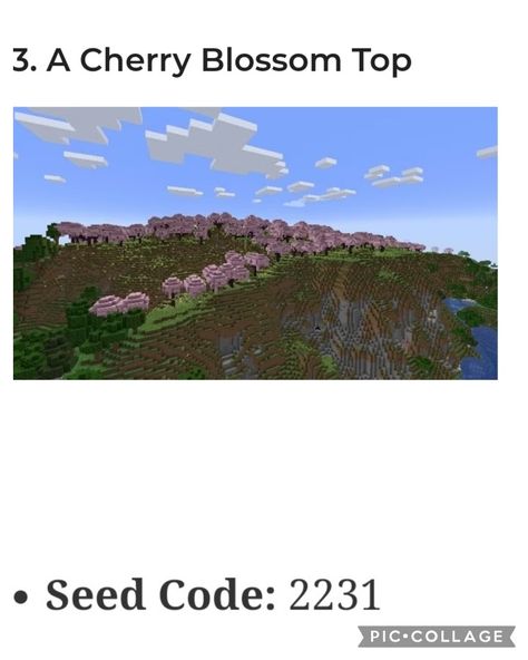 Cherry Blossom Minecraft Seed, Cherry Blossom Seed Minecraft, Minecraft Seeds Cherry Blossom, Mc Seeds, Cool Minecraft Seeds, Minecraft Seeds, Minecraft Seed, Anime References, Diy Minecraft