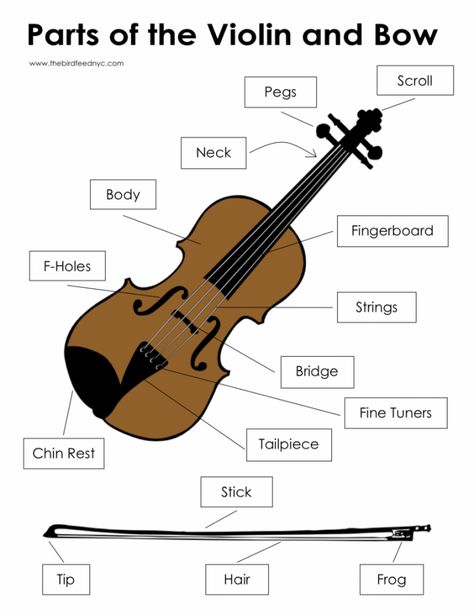 Parts of the Violin and Bow Violin Worksheets, Parts Of The Violin, Teaching Orchestra, Violin Pics, Violin Teaching, Instrument Families, Violin Teacher, Violin Parts, Homeschool Music