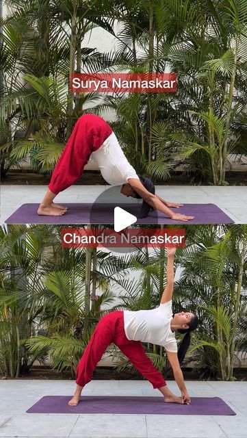 Chandra Namaskar, Yoga Light, Surya Namaskar, Light And Darkness, Types Of Yoga, Sun Salutation, The Balance, Sun Moon, Yoga Fitness