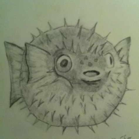 Puffer Fish !!! Puffer Fish Drawing Simple, Puffer Fish Painting, Blowfish Drawing, Small Fish Drawing, Realistic Fish Drawing, Pufferfish Drawing, Pufferfish Tattoo, Puffer Fish Tattoo, Puffer Fish Cartoon