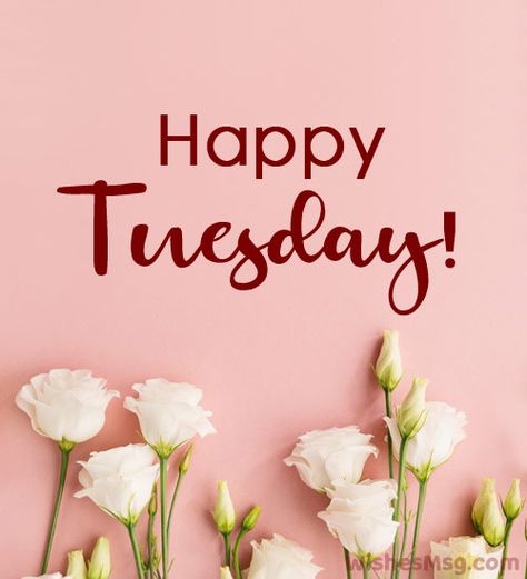 Tuesday Morning Wishes, Good Morning Tuesday Wishes, Happy Tuesday Images, Happy Tuesday Morning, Tuesday Greetings, Tuesday Images, Happy Monday Morning, Hello Tuesday, Sunday Wishes