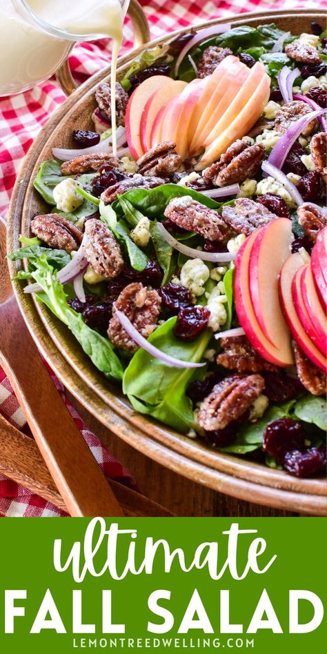 The ULTIMATE fall salad! Loaded with sliced apples, dried cherries, candied pecans, and crumbled blue cheese, it's everything you want in a salad... and even more delicious when you drizzle it with homemade apple cider vinaigrette! Apple Pecan Salad, Candied Pecans For Salad, Apple Cider Vinaigrette, Autumn Salad Recipes, Cider Vinaigrette, Fall Salad, Sliced Apples, Homemade Apple Cider, Sliced Pears