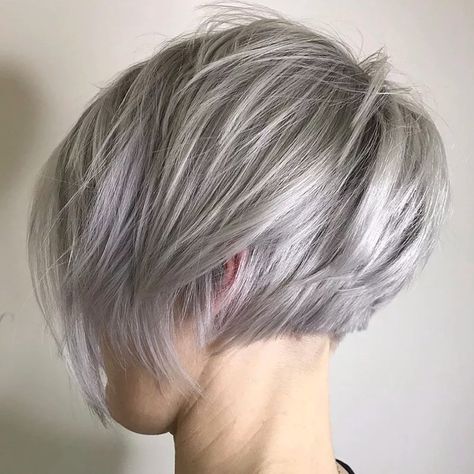 Pixie Bob Haircut, Fall Hair Cuts, Silver Highlights, Short Hairstyles For Thick Hair, Short Layered Haircuts, Short Bob Haircuts, Penteado Cabelo Curto, Grey Hair Color, Hair Images