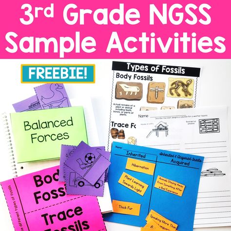 Gravity Activities, Weather Graph, Teaching Weather, Motion Activities, Inherited Traits, Science Notebook, Force And Motion, 3rd Grade Classroom, Weather Activities