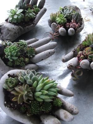 Surgical Gloves Planter...Poke holes in ends of fingers to let out air makes good pocket for soil and gives a natural half closed hand look Hand Planters, Surgical Gloves, Spray Paint Cans, Types Of Succulents, Cactus Y Suculentas, Cactus And Succulents, Garden Crafts, Succulents Garden, Cacti And Succulents