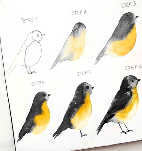 Cute Tutorial, Bird Illustrations, Learn Watercolor, Watercolor Tips, Watercolor Paintings For Beginners, Diy Watercolor Painting, Instagram Tutorial, Watercolor Paintings Easy, Watercolor Painting Techniques