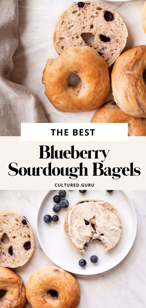 Blueberry Bagel Recipe, Blueberry Sourdough, New York Style Bagels, Blueberry Bagels, Sourdough Blueberry, Sourdough Starters, Blueberry Bagel, Sourdough Bagels, Natural Yeast