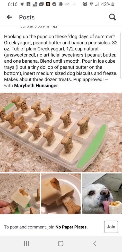 Dog Popsicles, Treat Business, Caldwell Idaho, Pet Treats Recipes, Dog Craft, Easy Dog Treat Recipes, Frozen Dog Treats, Easy Dog Treats, Healthy Dog Treats Homemade