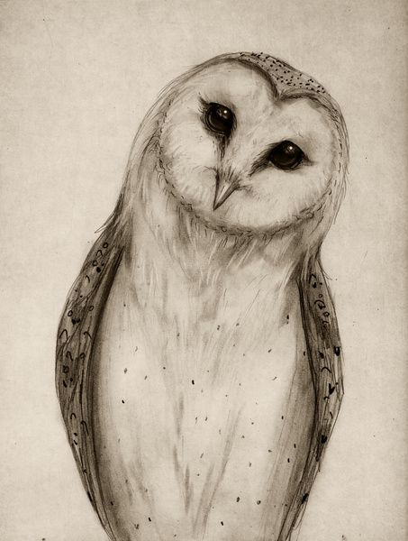 Owl Sketch, Bird Sketch, Owl Tattoo Design, Owls Drawing, Owl Tattoo, Arte Sketchbook, Beautiful Body, Pebble Painting, Animal Sketches