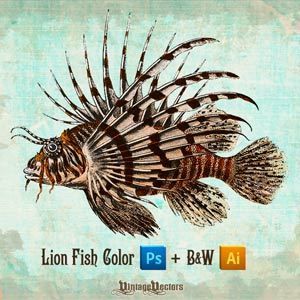 Lionfish Vector And Colored Image Fish Logo Design, Painting The Roses Red, Fauna Marina, Fish Vector, Watercolor Fish, Lion Fish, Fish Illustration, Water Animals, Fish Plate