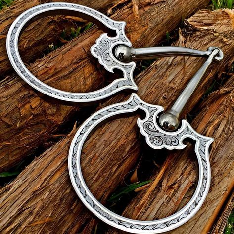 Grooming Horse, Horse Tack Western, Bling Horse Tack, Barrel Racing Tips, Clinton Anderson, Western Headstall, Horse Reining, Animals Horse, Cowgirl Stuff