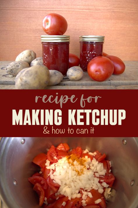 An easy homemade ketchup recipe for canning Ketchup For Canning, Ketchup Recipe For Canning, Apartment Homesteading, Tomato Ketchup Recipe, Keto Ketchup, Homemade Ketchup Recipes, Canning Tomatoes Recipes, Water Bath Canning Recipes, Tomato Harvest