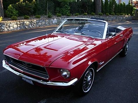 1967 Mustang Convertible 1967 Mustang Convertible, Mustang 67, Ford Mustang 1967, Red Convertible, 67 Mustang, Red Mustang, 1967 Mustang, Ford Mustang Convertible, Ford Mustang Car