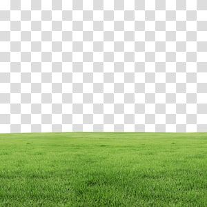 Retro Games Wallpaper, Tree Plan, Cloud Illustration, Grass Background, Desktop Background Pictures, Beach Background Images, Grasses Landscaping, Spring Background, Grass Field