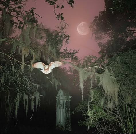 Spooky Nature Aesthetic, Spooky Woods Aesthetic, Spooky Landscape, Bats Dark Aesthetic, Eerie Aesthetic, Southern Gothic Graveyard, Deer At Night Creepy, Infrared Photography, Dark Nature Aesthetic