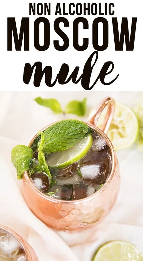 Refreshing Mocktail, Best Non Alcoholic Drinks, Moscow Mule Recipe, Mule Recipe, Winter Holiday Party, Alcohol Free Drinks, Drink Recipes Nonalcoholic, Non Alcoholic Cocktails, Alcoholic Cocktails