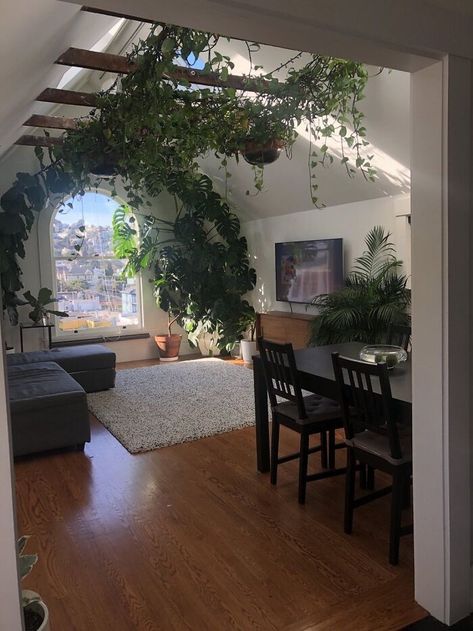 Sunlit Room, Mint Shake, Sf Apartment, Female Actors, Xmas Gifts For Her, Hanging Vines, Funny Reaction, Indoor Gardens, Family Trees