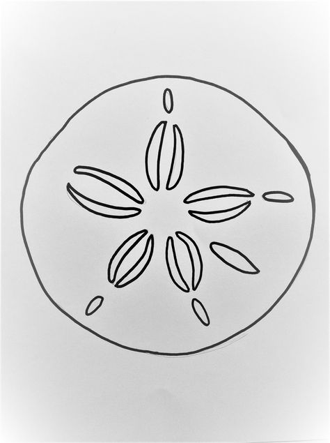 Beach Outline Drawing, Sand Dollar Sketch, Oyster Sketch, Sand Dollar Drawing, Dollar Drawing, Nautical Sketches, Beach Drawing, Pot Crafts, Drawing Simple